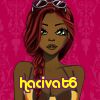 hacivat6