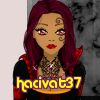 hacivat37